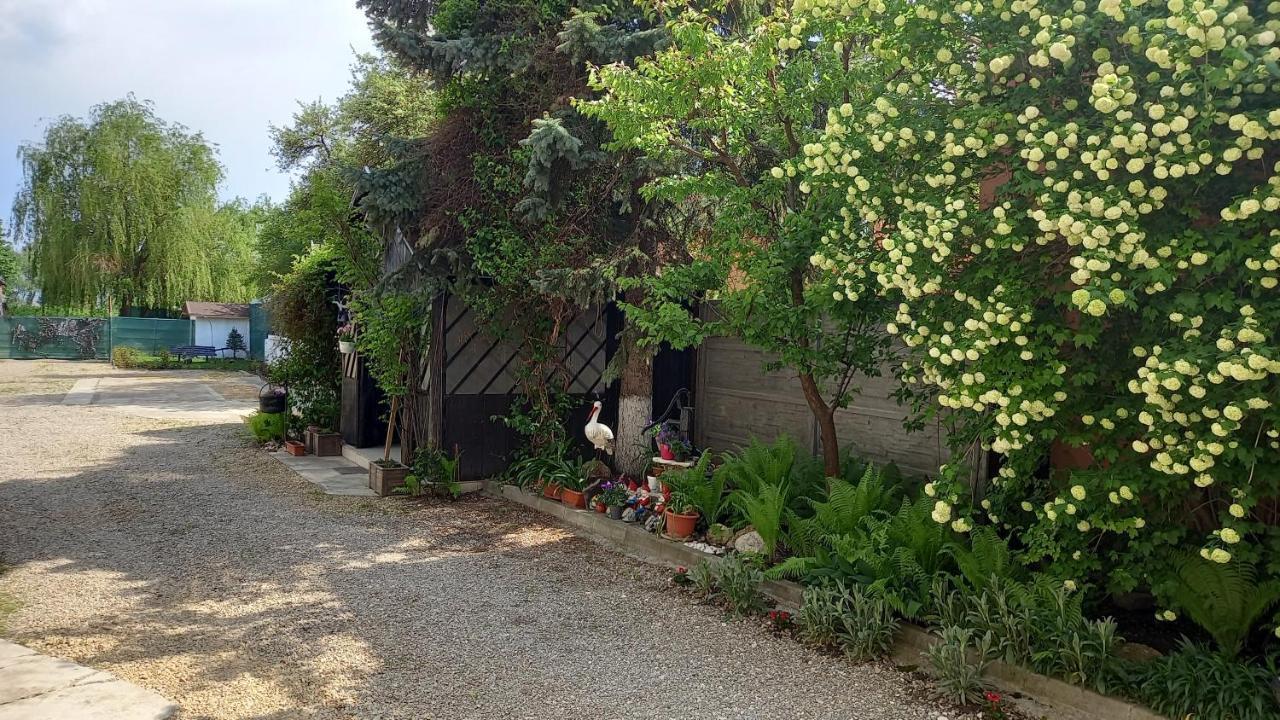 فندق Casa Danei براشوف المظهر الخارجي الصورة