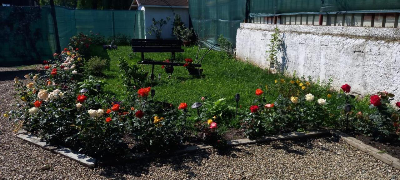 فندق Casa Danei براشوف المظهر الخارجي الصورة